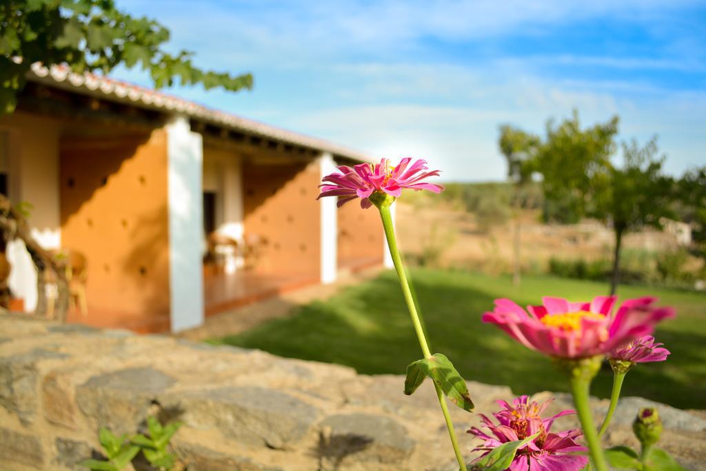 Melrinitas Turismo Rural Hotel Serpa Buitenkant foto